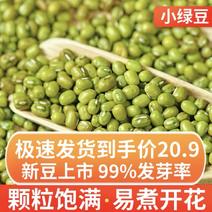 绿豆五谷杂粮买4斤送一斤新鲜正品绿豆无硫
