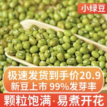 绿豆五谷杂粮买4斤送一斤新鲜正品绿豆无硫