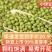 绿豆五谷杂粮买4斤送一斤新鲜正品绿豆无硫