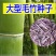 大型毛竹种子易播一次种植终身产笋出笋高个头大南北毛竹