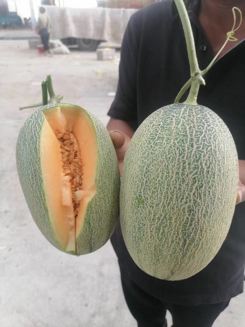 各种甜瓜，品种繁多
