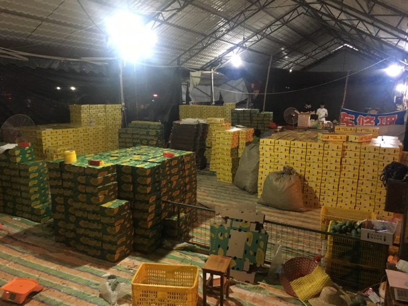 广西芒果贵妃芒正大量上市量大从优欢迎各位老板咨询对接