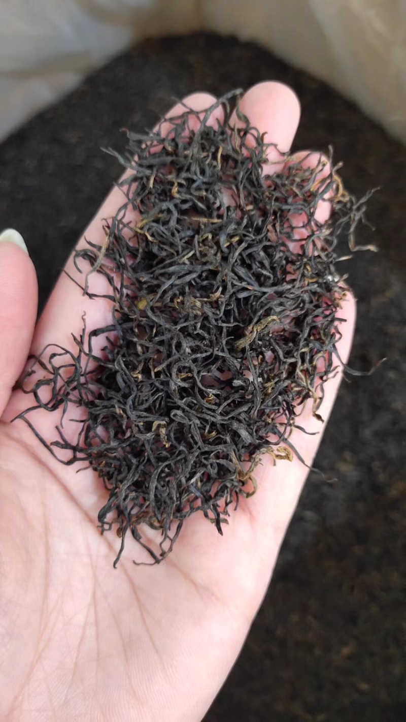 明前茶正山小种红茶武夷山新茶花香足耐泡500g