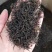 明前茶正山小种红茶武夷山新茶花香足耐泡500g