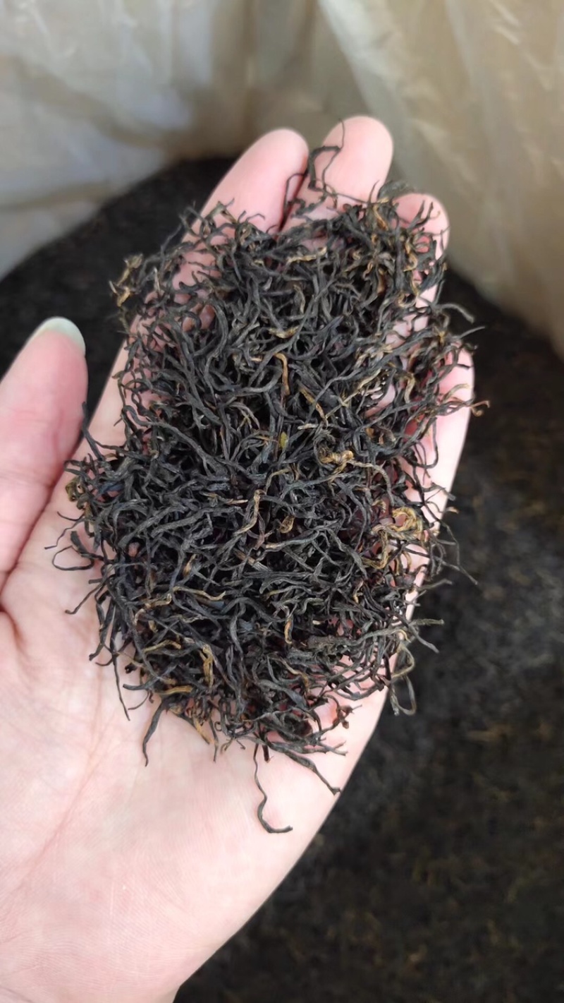 明前茶正山小种红茶武夷山新茶花香足耐泡500g