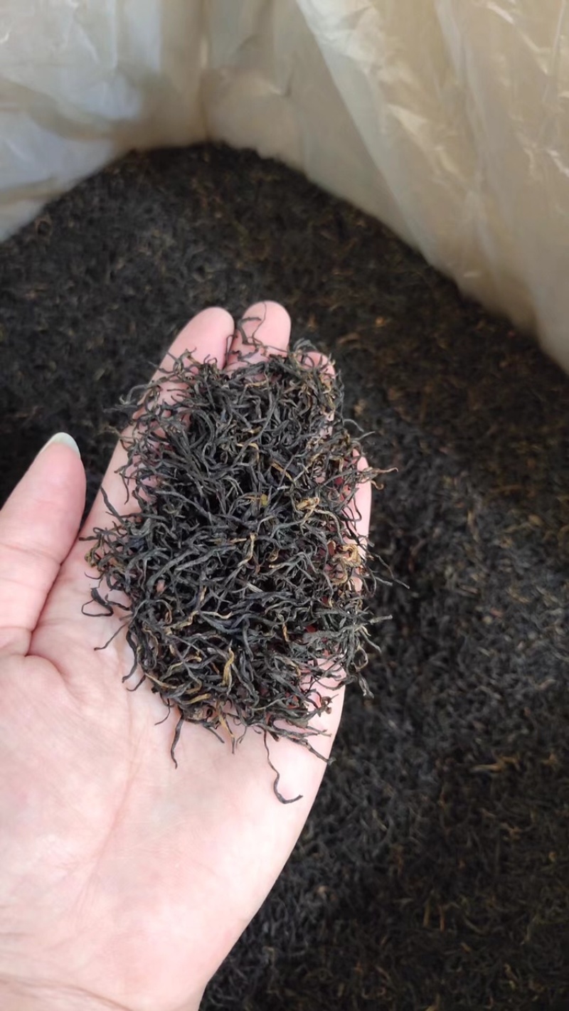 明前茶正山小种红茶武夷山新茶花香足耐泡500g