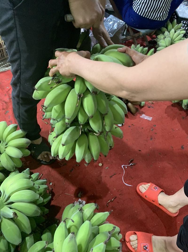 新鲜水果苹果蕉软糯香甜一件代发多种规格