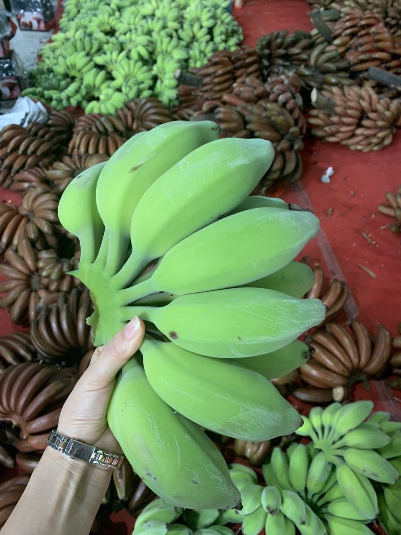 新鲜水果苹果蕉软糯香甜一件代发多种规格
