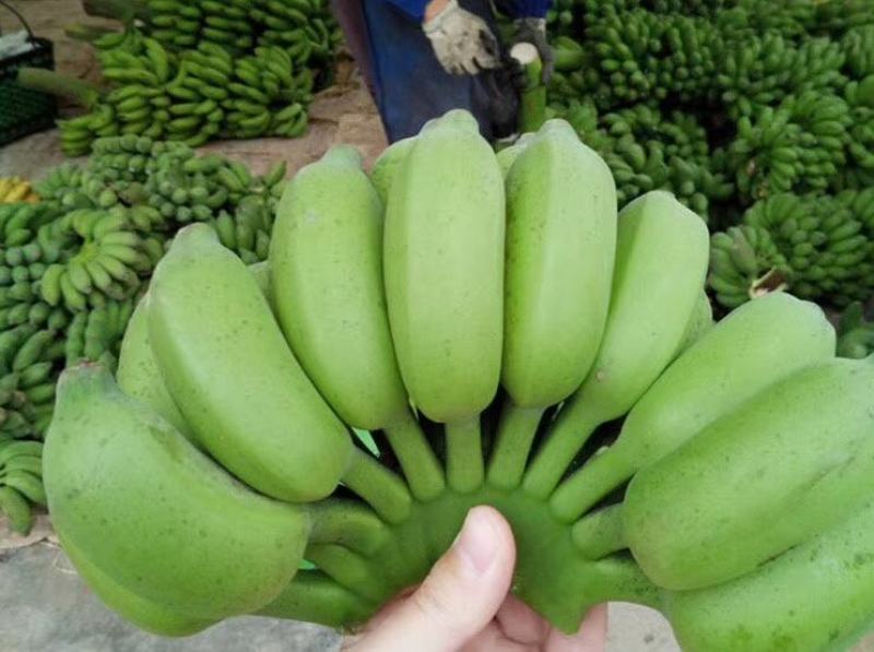 新鲜水果苹果蕉软糯香甜一件代发多种规格