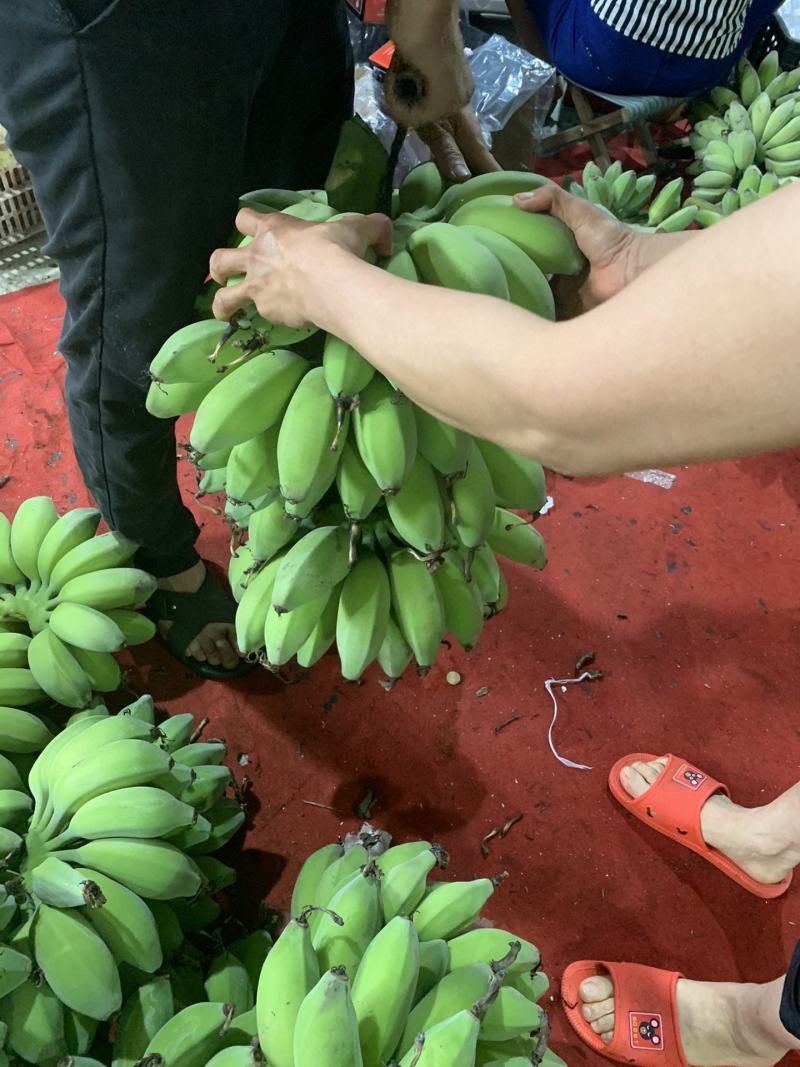 新鲜水果苹果蕉软糯香甜一件代发多种规格