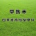 早熟禾草籽早熟禾种子低矮草坪籽耐踩踏