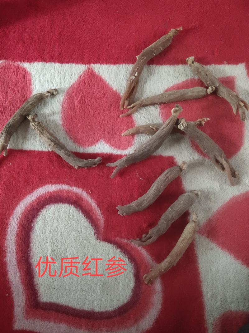 【长白山红参】包邮长白山光支无糖优质红参一手货源