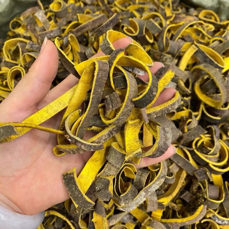 中药材黄柏货品质量保证批发各种中药材