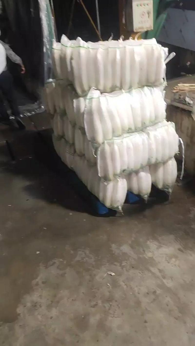 【精品推荐】精品白萝卜沙洋优美白萝卜产地直发量大价低货足