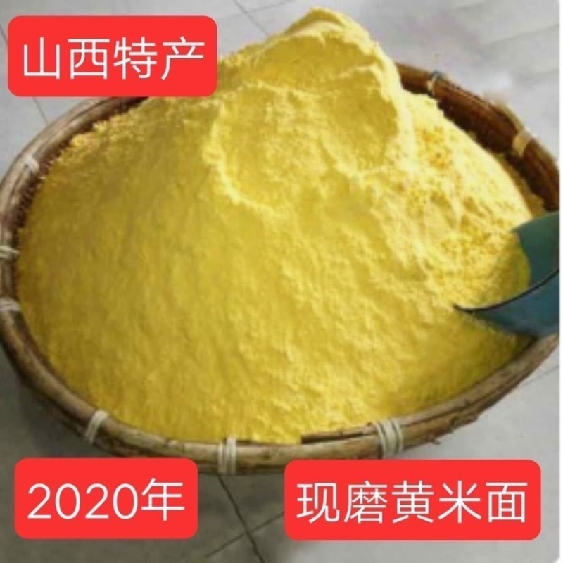 山西特产大黄米面糕面炸糕面粘豆包黄米面批发