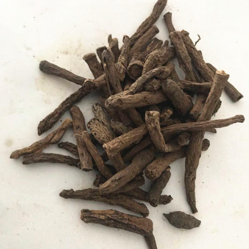 中药材仙茅独茅地棕根货品质量保证批发各种中药
