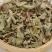 仙鹤草中药材仙鹤草非野生新鲜龙芽泡茶老鹤嘴