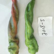 辣椒种子品种；农椒五号，椒长粗大，绿色皮，产量高。