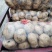 土豆，沃士5.，个头大，薯形好，皮色光，无虫眼。