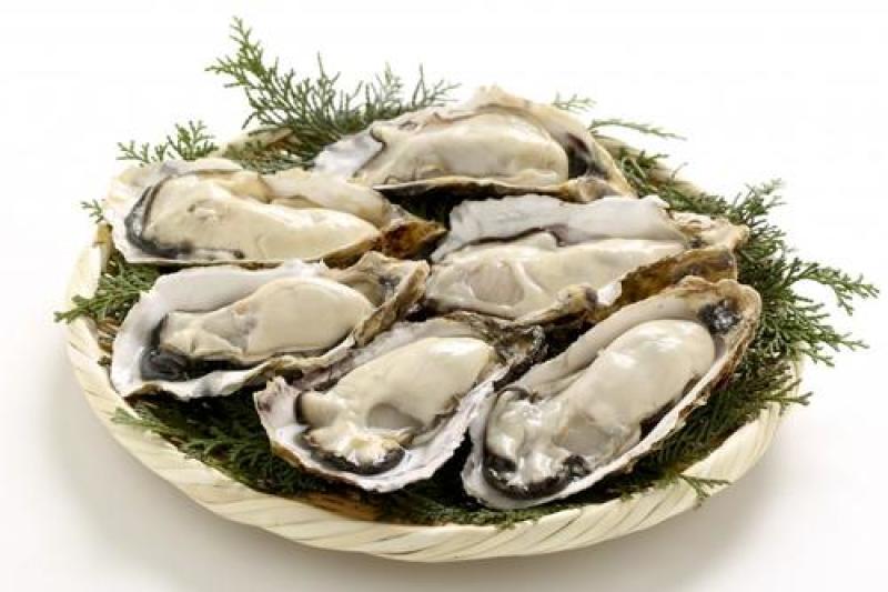 湛江生蚝长期批发价廉物美大蚝烧烤或隔水蒸蒸皆好味
