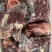 山东肉驴驴肉驴肉驴板肠驴心驴肝驴肺胃驴排