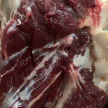 山东肉驴驴肉驴肉驴板肠驴心驴肝驴肺胃驴排
