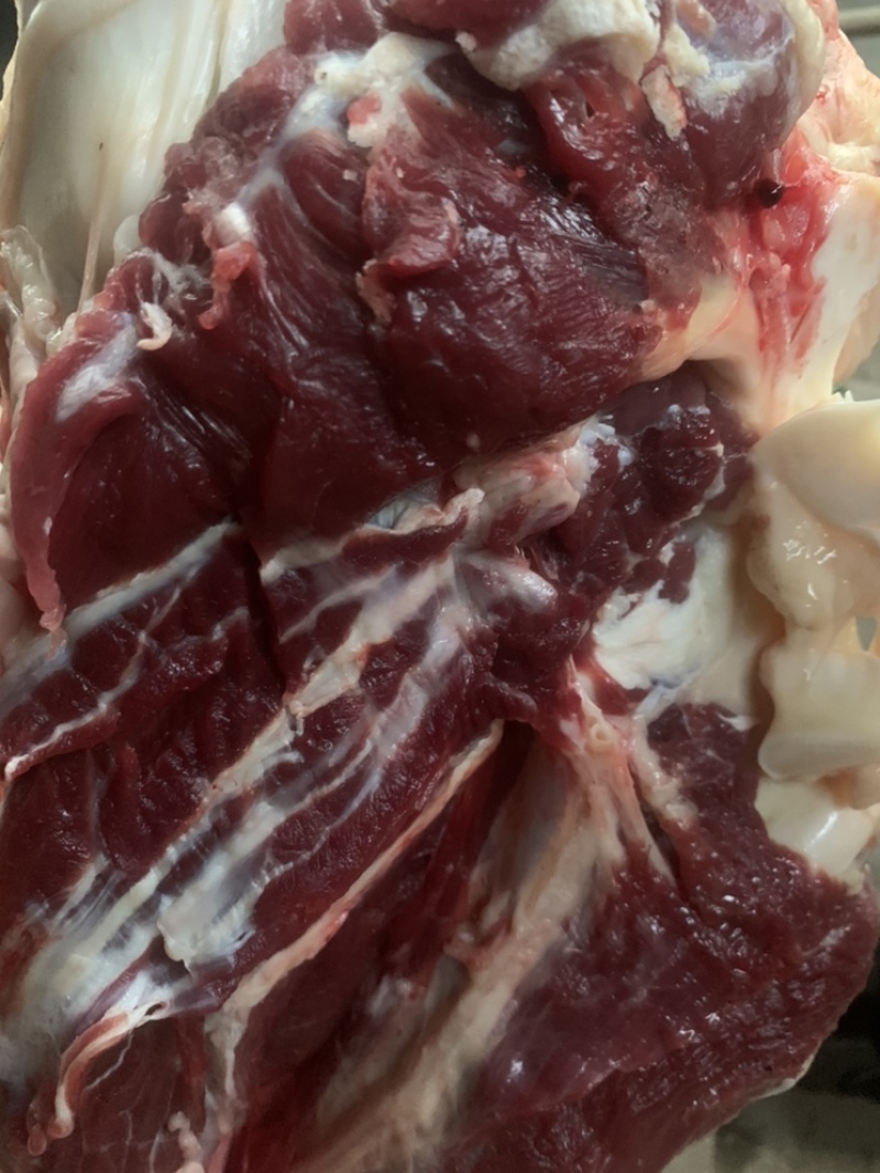 山东肉驴驴肉驴肉驴板肠驴心驴肝驴肺胃驴排