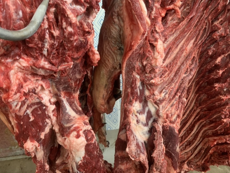 山东肉驴驴肉驴肉驴板肠驴心驴肝驴肺胃驴排