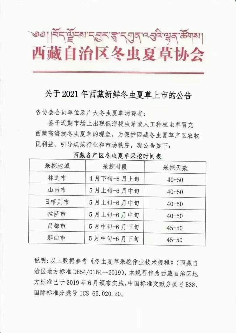 2022年高海拔新鲜冬虫夏草产地直发包邮