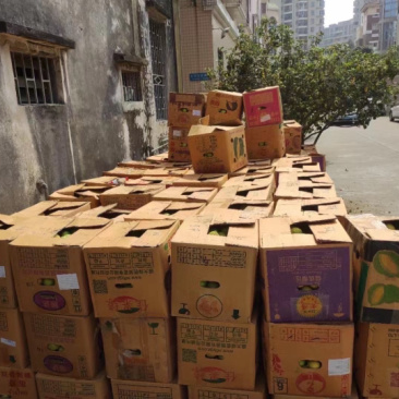 大量摘货需要提前预约下单老板们