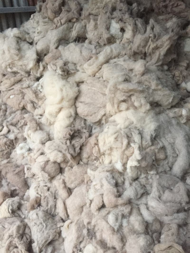 羊毛（各种用途羊毛）