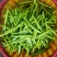 黄花菜