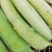 豌豆荚