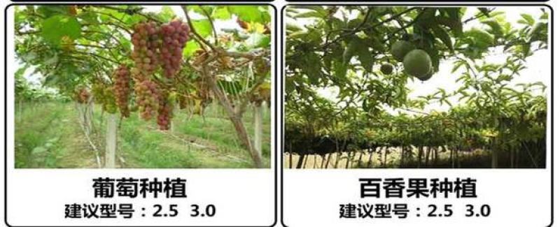 塑钢线高强度塑钢线大棚托膜线拉线百香果葡萄搭架专用塑钢线