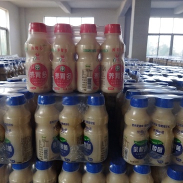 乳酸菌酸奶系列风味饮料厂家直销，诚招全国代理