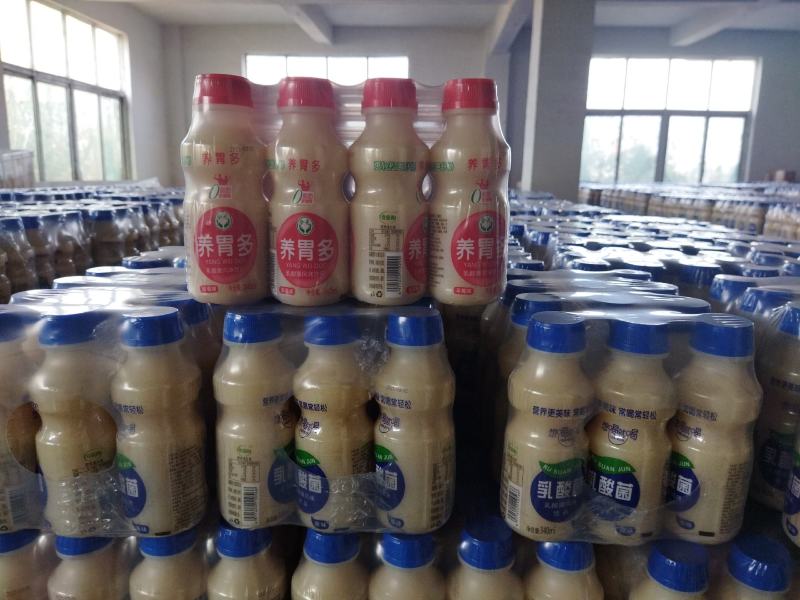 乳酸菌酸奶系列风味饮料厂家直销，诚招全国代理