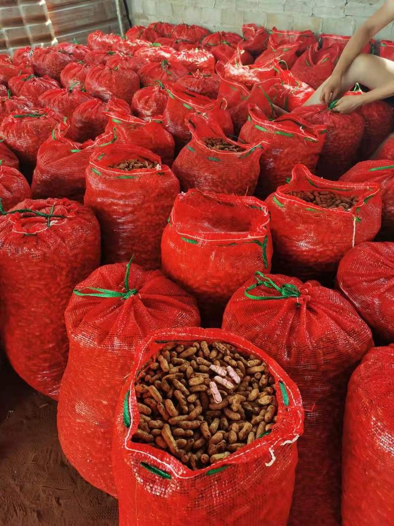徐闻的红米、白米花生上市了，大量有货，全国代发