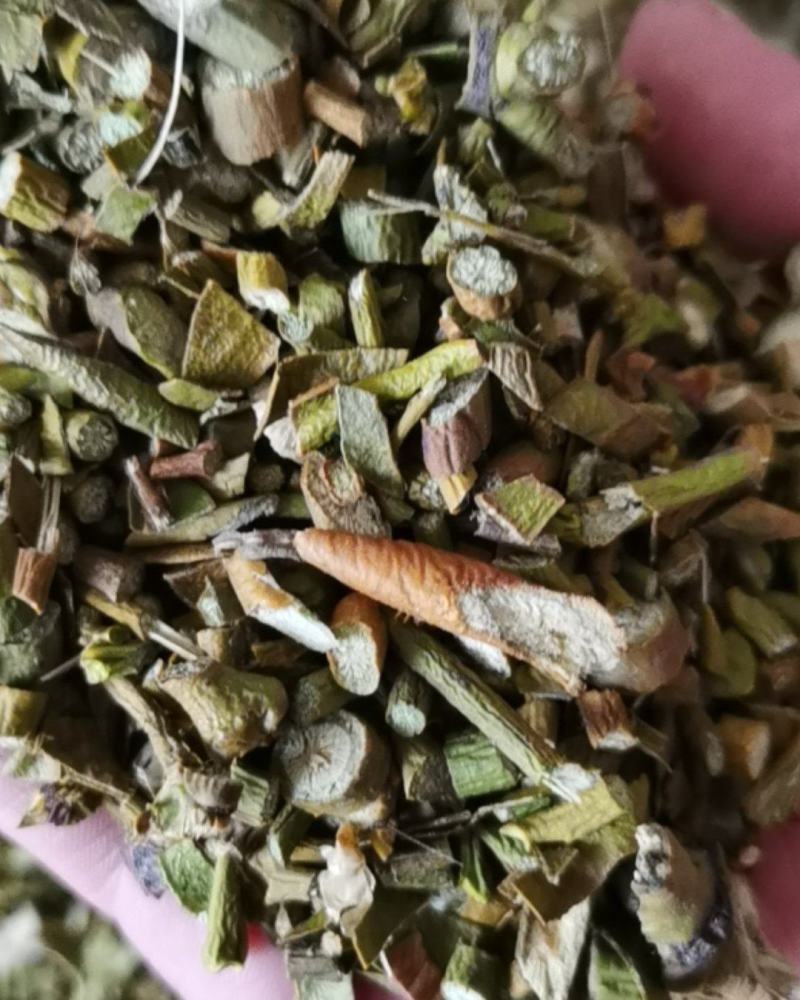 槲寄生带叶槲寄生泽溢中药批发零售