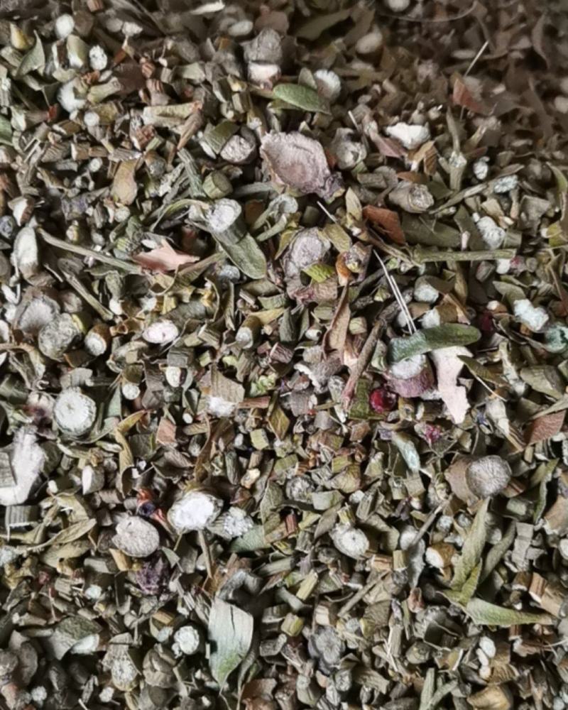槲寄生带叶槲寄生泽溢中药批发零售