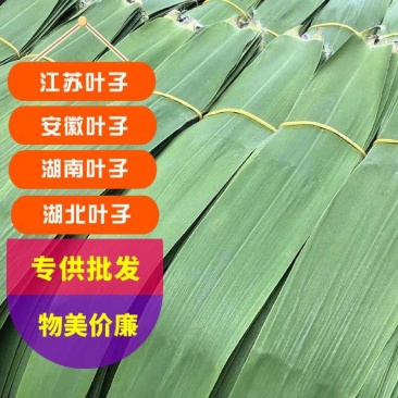 粽叶