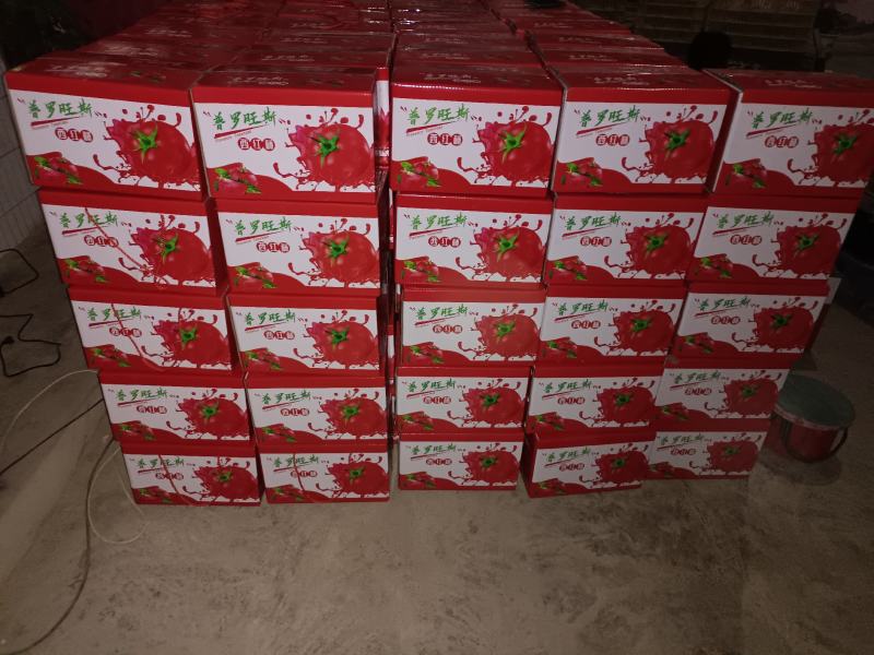 普罗旺斯水果西红柿，产地货源，口感好新鲜现摘一件代发