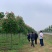 七叶树进口红花七叶树苗圃大量供应大小规格均有量大