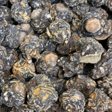 丽江黑玛卡