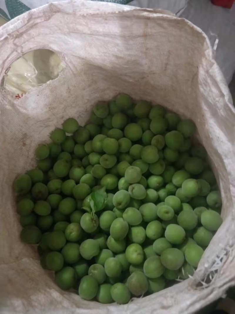 大青梅统货价格便宜梅干梅酱蜜饯酸梅汁茶饮