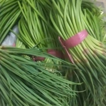 蒜薹
