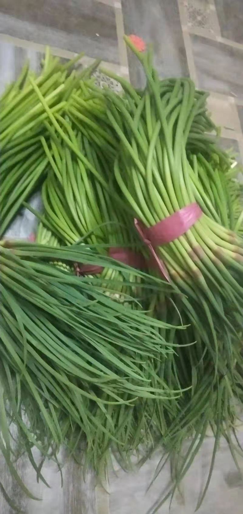 蒜薹