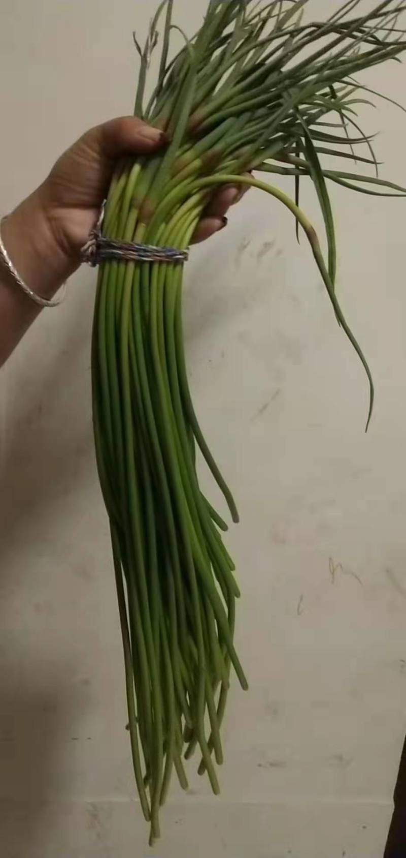 蒜薹