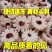 鱿鱼齿轮花鱿鱼花鱿鱼10斤/箱新鲜速冻