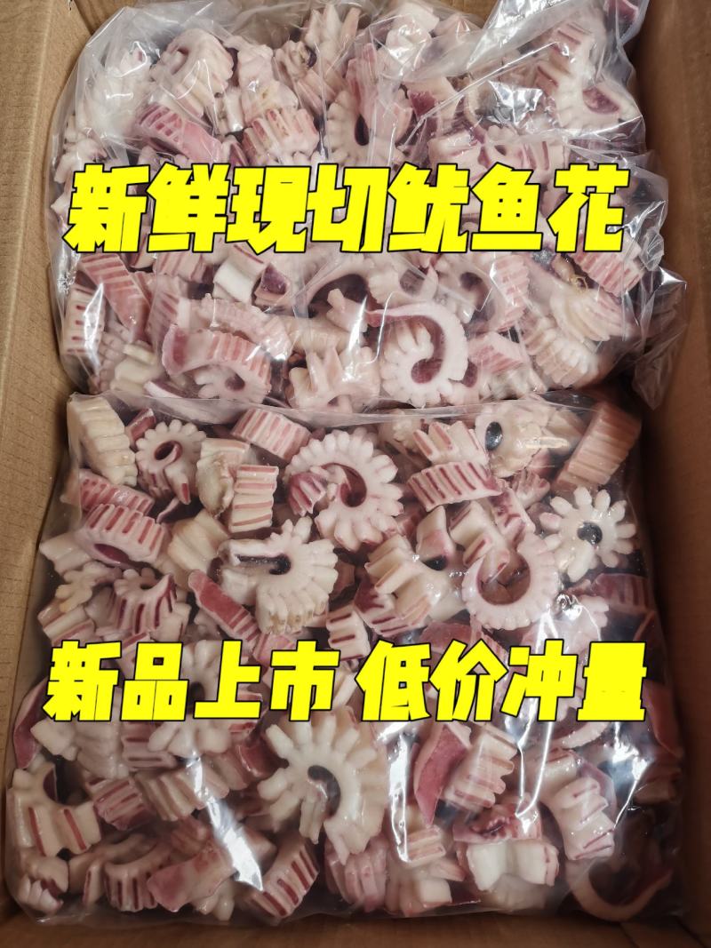 鱿鱼齿轮花鱿鱼花鱿鱼10斤/箱新鲜速冻