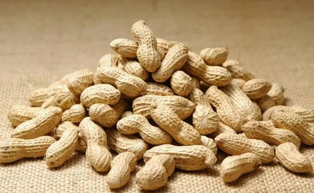 技术人员在花期进行喷施硼肥和授粉树配置工作 美早大樱桃花期果园管理现场